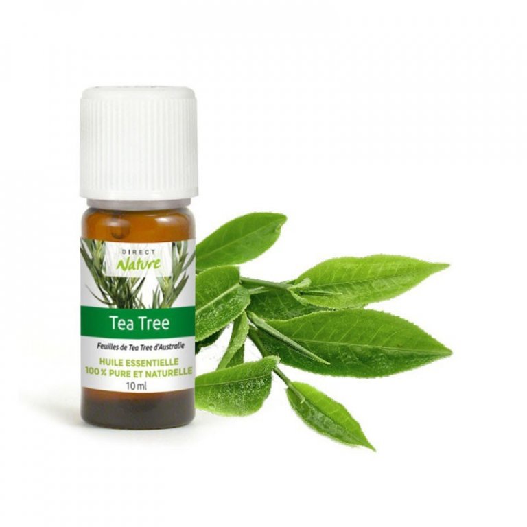 Utilisation Huile Essentielle Tea Tree - Diffuseurs D'Essentielles